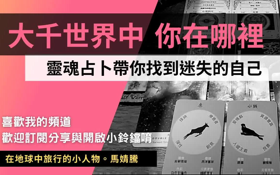 【灵性占卜】我该何去何从?使命与任务是什么?找回迷失的自己 马婧腾Panda哔哩哔哩bilibili