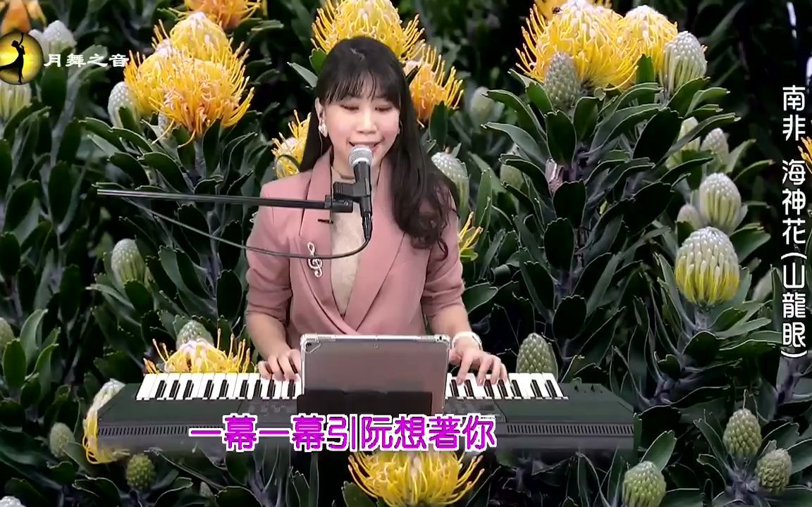 [图]翻唱歌曲 是雨亦是泪