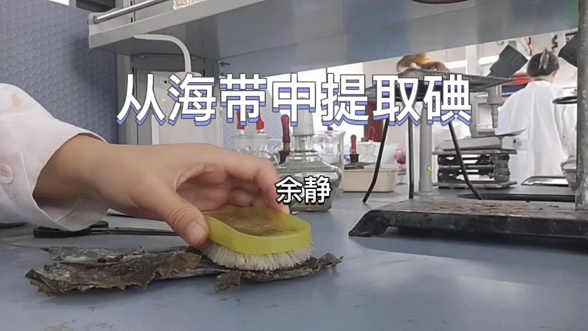 从海带中提取碘
