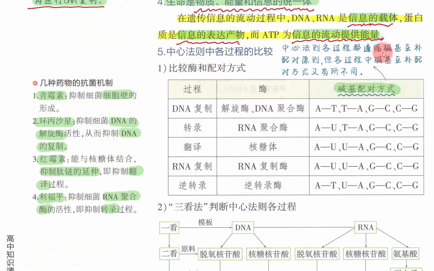 【2023生物必刷题】P100(概念课2)中心法则,翻译常考模型,转录和翻译是否同时进行,RNA病毒,遗传密码的破译哔哩哔哩bilibili