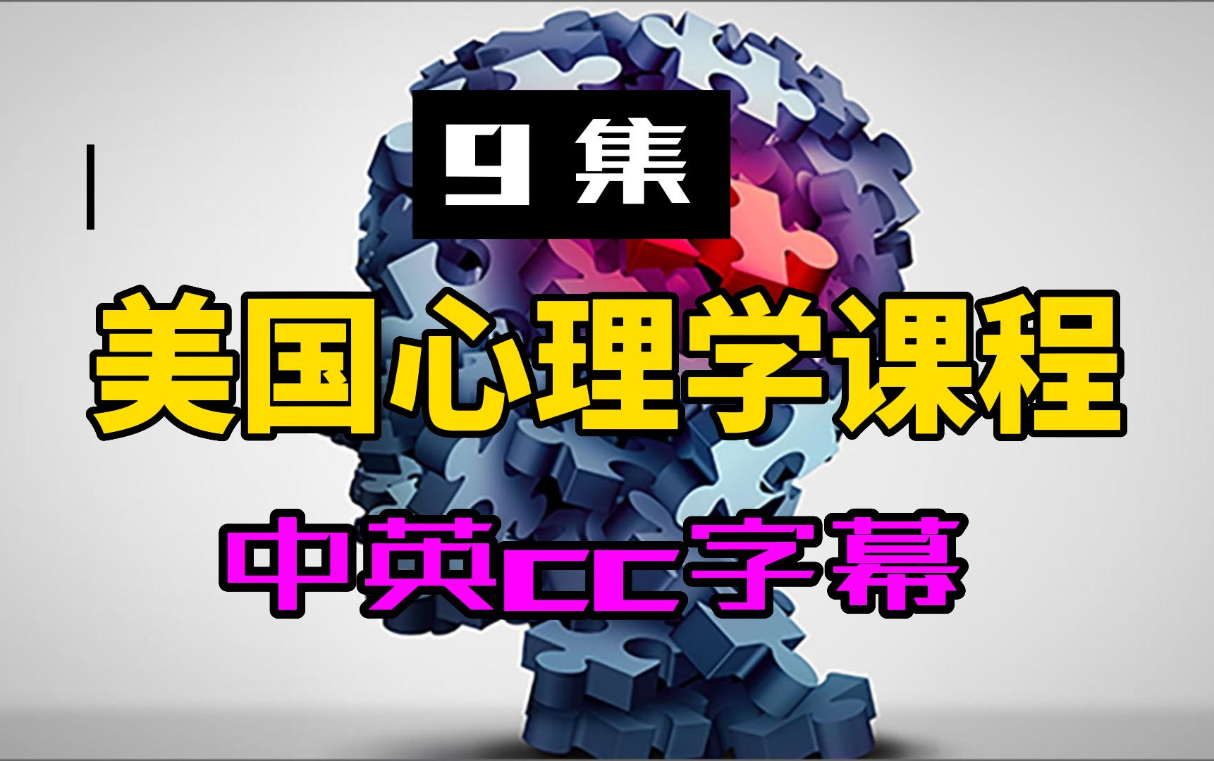 【9集】美国心理学课程中英cc字幕英语听力口语单词科普社科哔哩哔哩bilibili