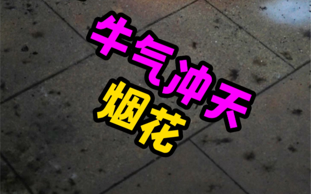 牛气冲天烟花