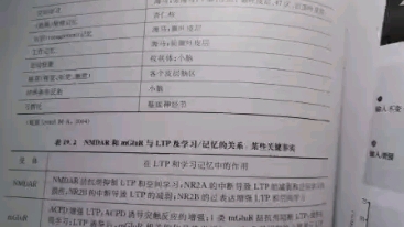 突触至少可能通过两个基本机制存储记忆.第一,通过形成新突触或去除老突触,重新建模突触线路.第二,选择性地强化或者弱化某些突触,而并不改变突...