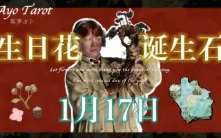 誕生石 搜索结果 哔哩哔哩弹幕视频网 つロ乾杯 Bilibili