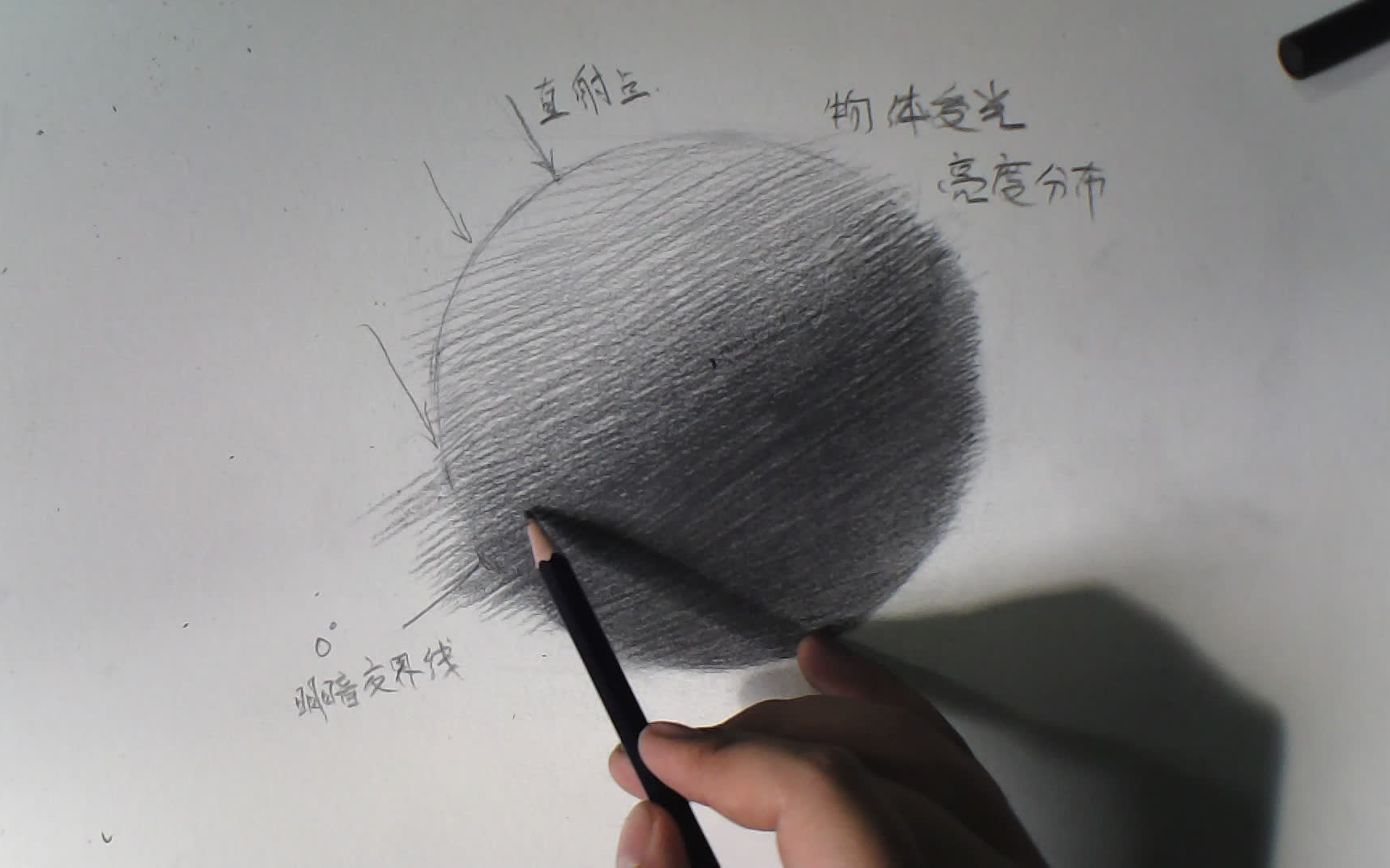 【合尚教育】素描入门理论-2.灰面-物体受光运用