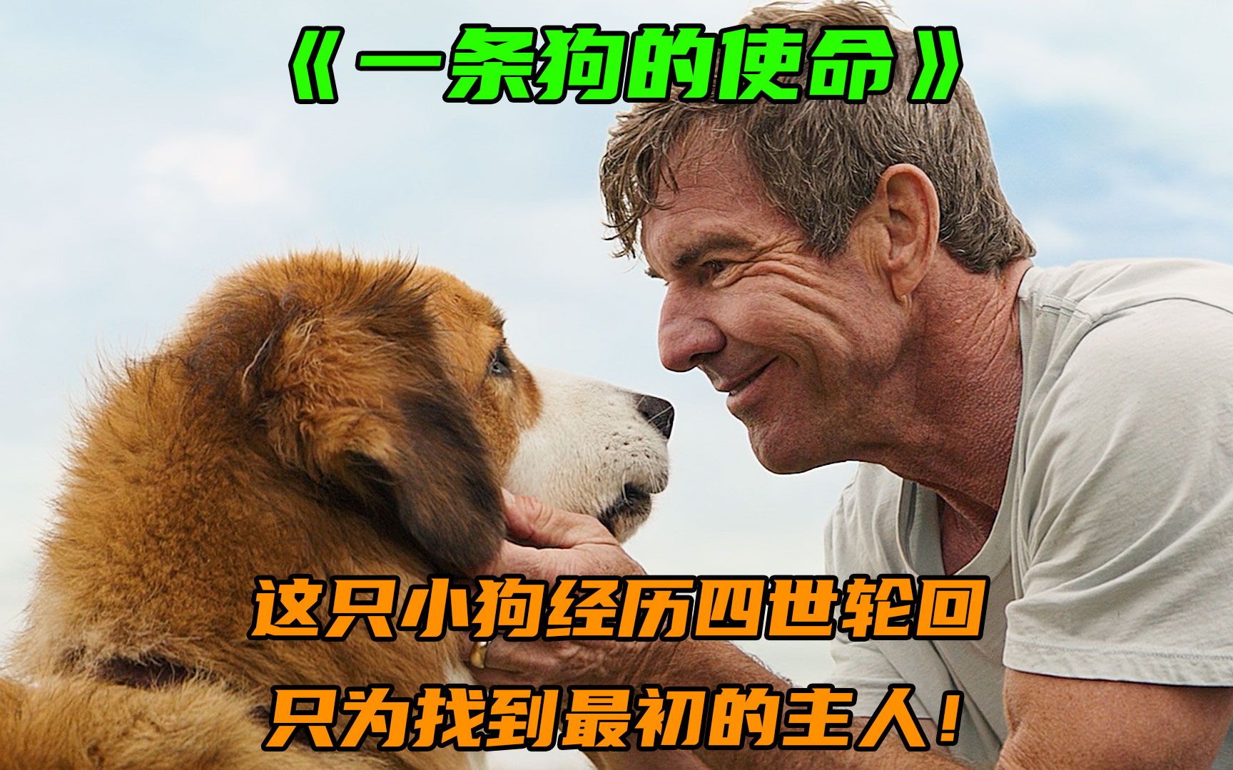 对于你而言,它只是一个过客!对于它而言,你就是它的一辈子!哔哩哔哩bilibili