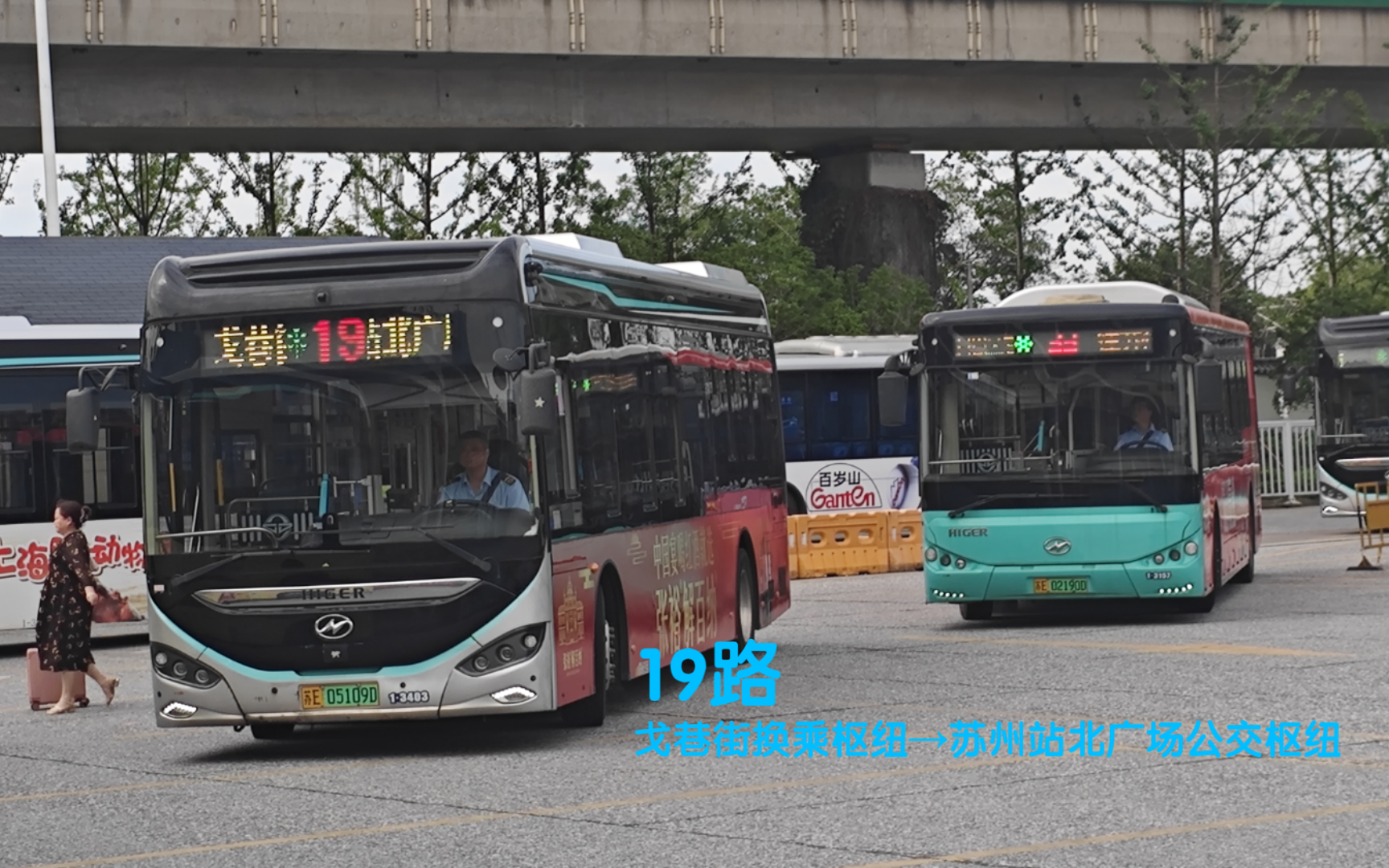 【公交pov#59】苏州公交 19路 戈巷街换乘枢纽→苏州站北广场公交枢纽