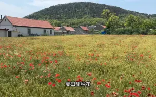 避雷长岛！！直接冲大黑山岛！大黑山岛太美了！！！！太美了！！！真的太美了