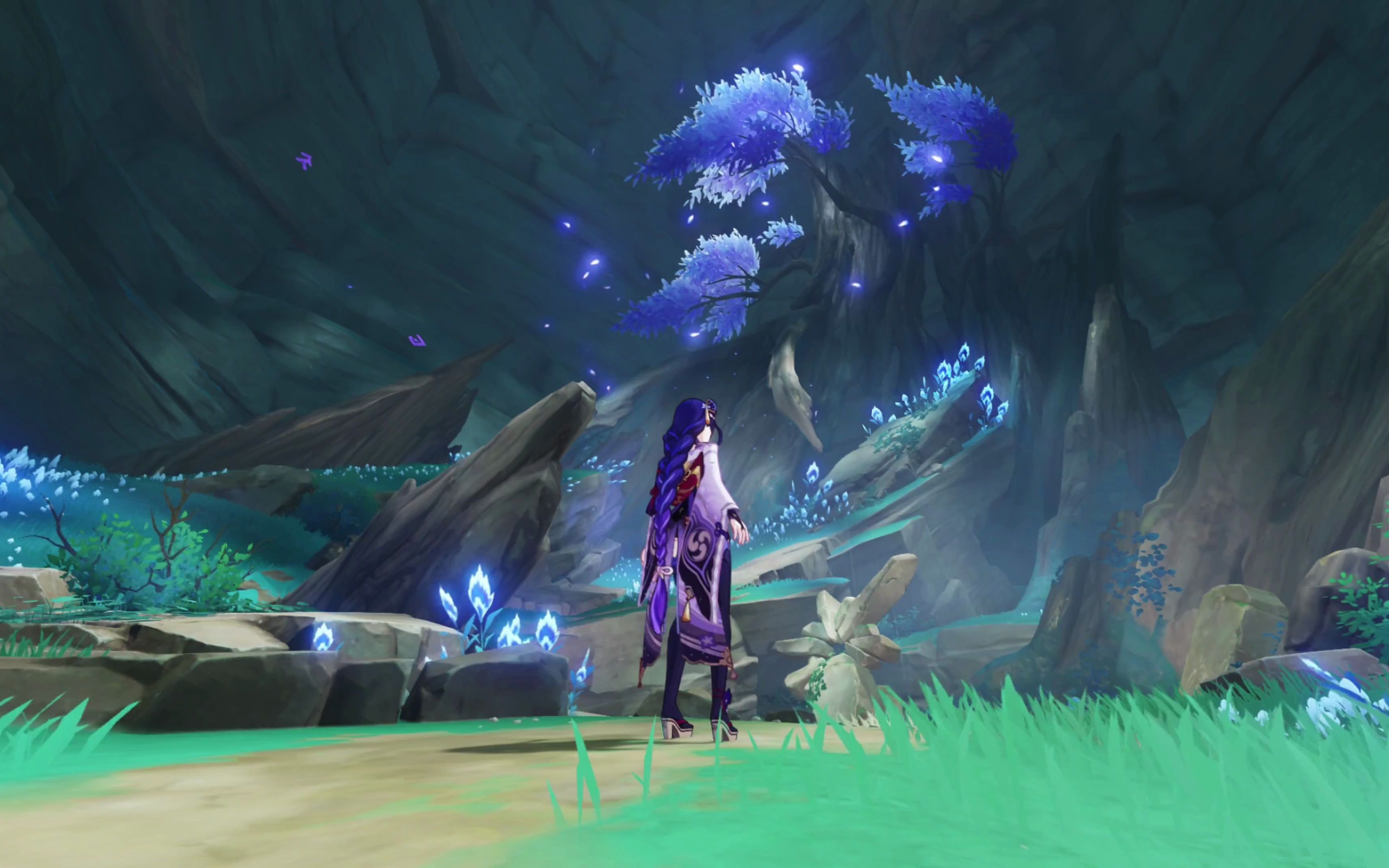 活动作品稻妻鹤观