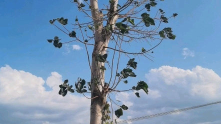 [图]一些风的瞬间