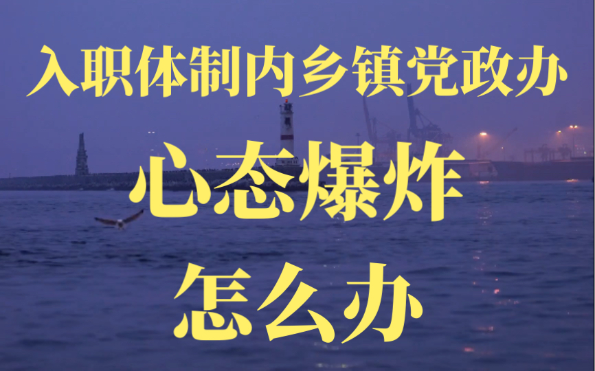 公务员感悟:入职体制内乡镇党政办,心态爆炸怎么办?哔哩哔哩bilibili