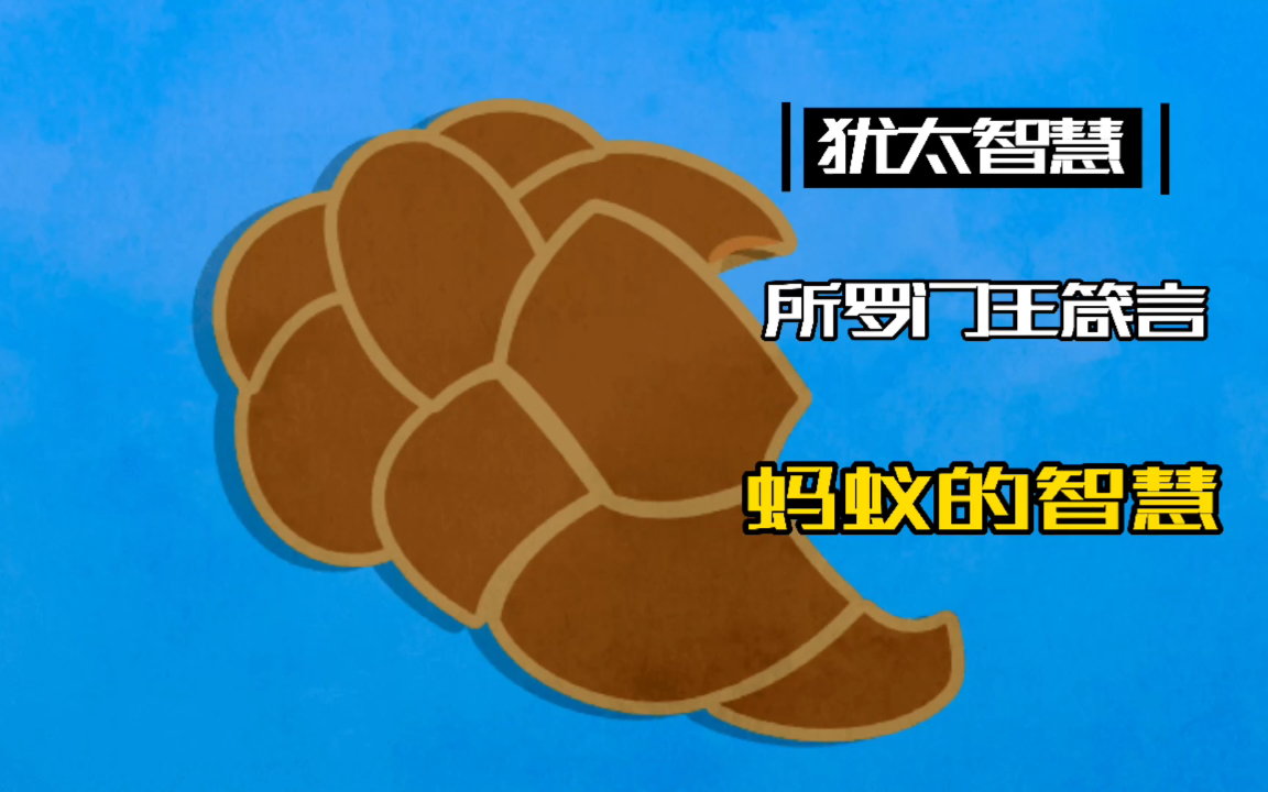 活动作品犹太智慧所罗门的箴言蚂蚁的智慧