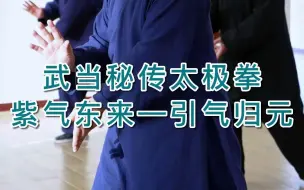 Download Video: 田理阳道长武当秘传太极拳教学紫气东来—引气归元练习详细分解