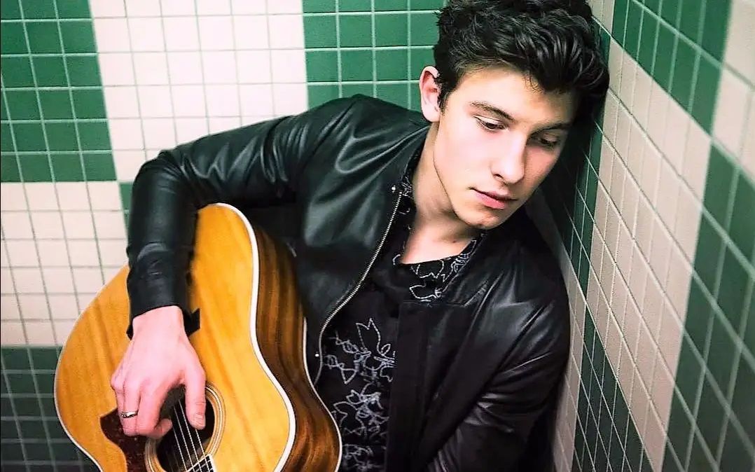 肖恩·门德斯 加拿大歌手 shawn mendes greatest hits the best