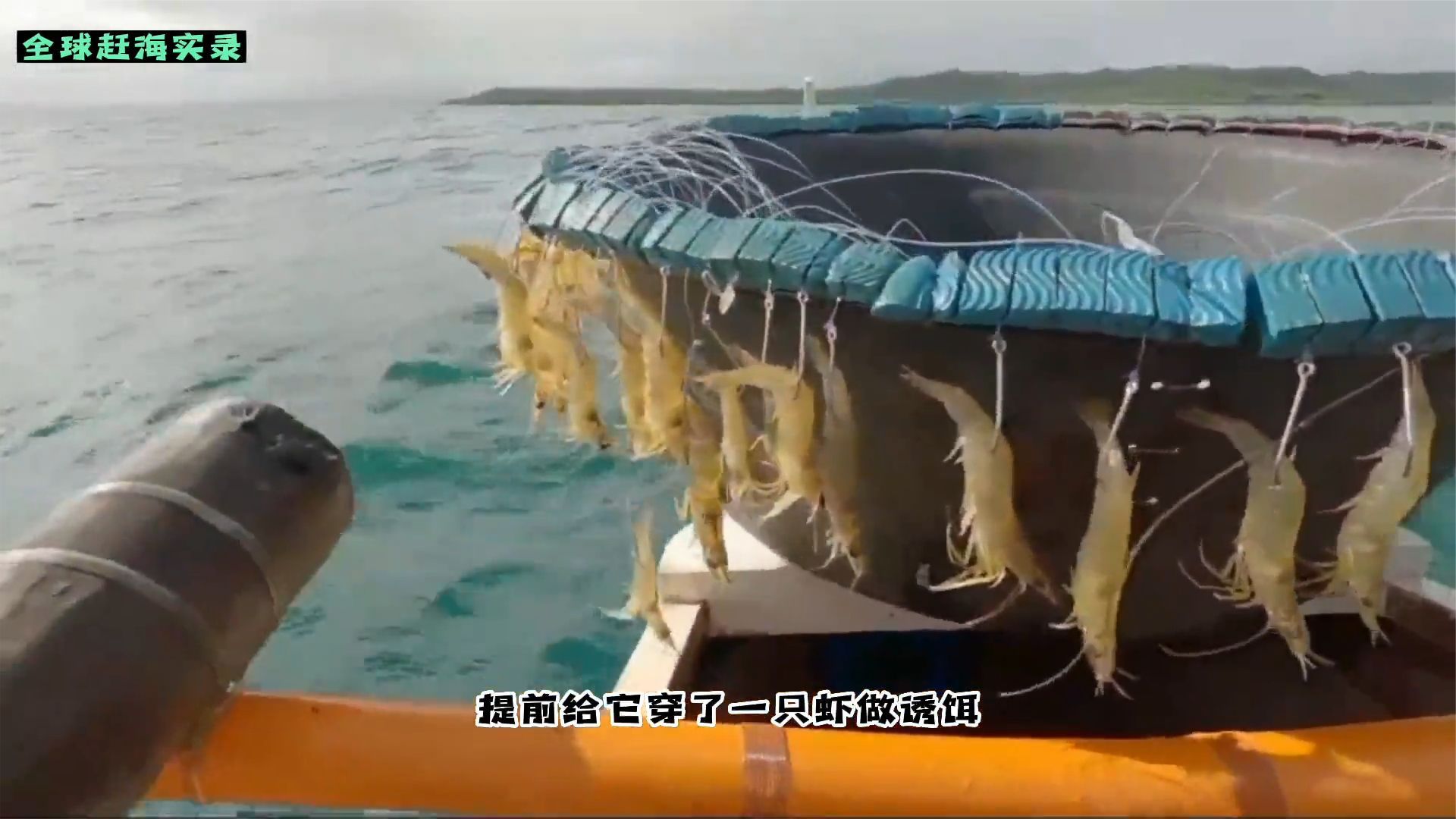 国外赶海高手海钓,用衍生掉1000个钩虾做饵,带大家见识一下哔哩哔哩bilibili