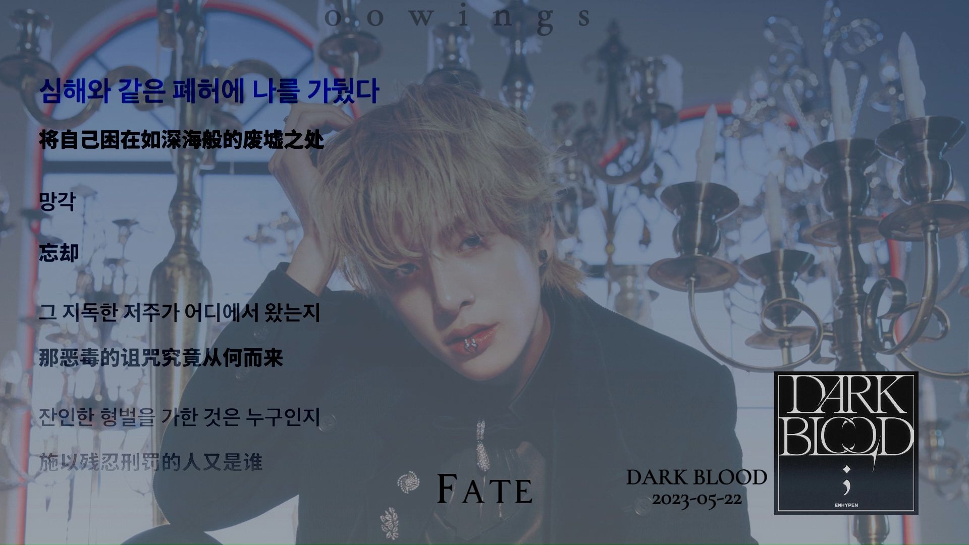 [图]【kpop神专系列】拯救曲荒 | 吸血鬼味最浓的符专 | ENHYPEN迷你四Dark Blood | 带歌词