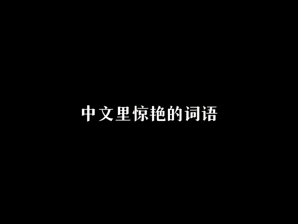 “中文里惊艳的词语”哔哩哔哩bilibili