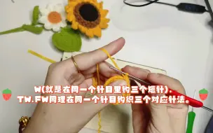 下载视频: 常用钩织之加针系列(二):W,TW,FW(意思是在同一个针目钩织三个短针，三个中长针，长长针)。