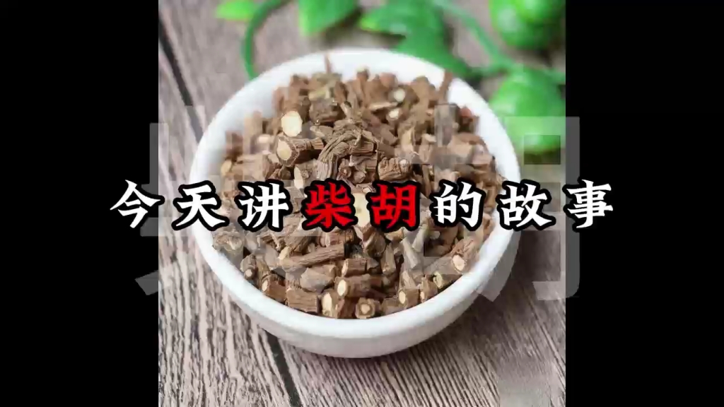 认识中药【柴胡】