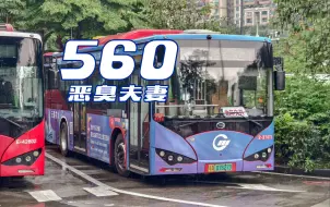 Video herunterladen: 【广州公交】560 路 华景新城（翰景路）总站 → 广州大道北（南湖山庄）总站 全程恶臭夫妻报站存档