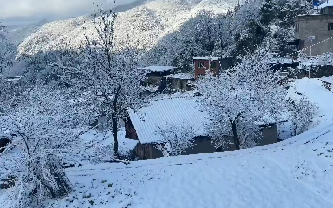 乡村雪景yyds