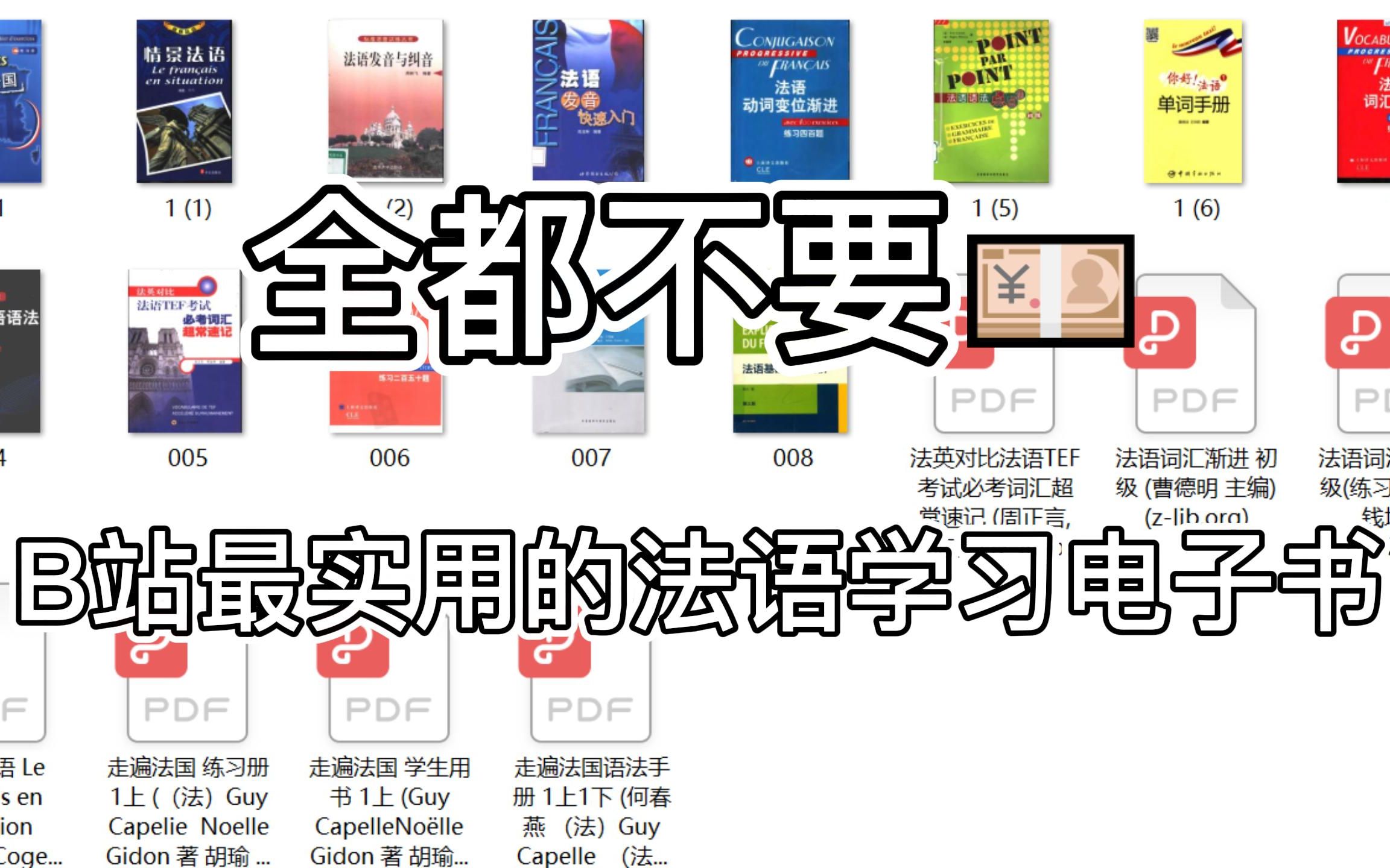 [图]【B站最实用的法语学习电子书合集】0基础到C1都适用，全部白给