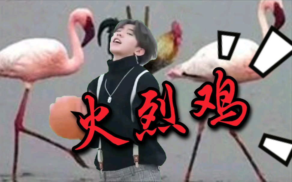 【火烈鸡】蔡徐坤新舞蹈,火烈鸡登场!