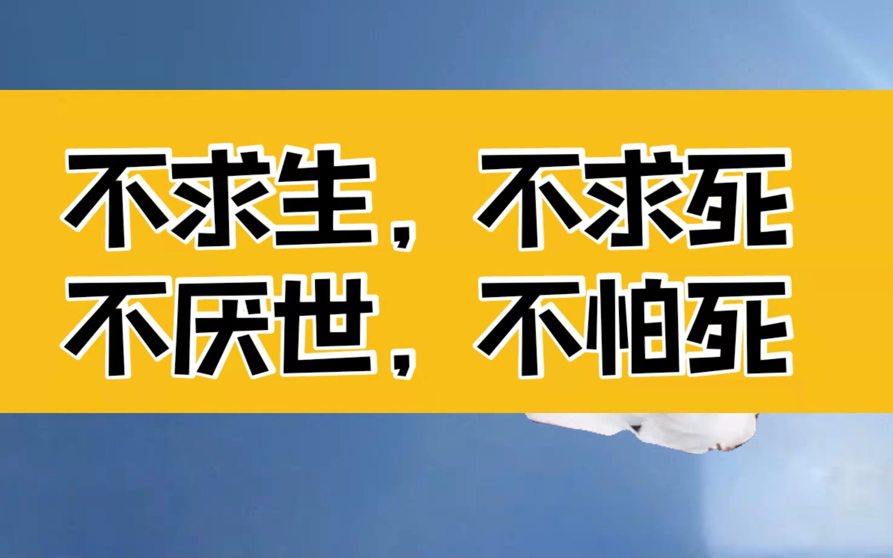 庄子:不求生不求死,不厌世不怕死,这是明心见性后悟到的天理哔哩哔哩bilibili