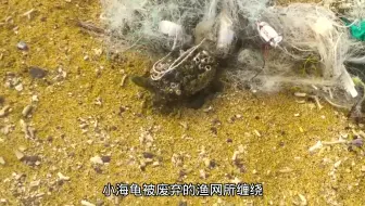 这是感人的一幕