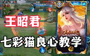 Descargar video: 这种保姆级王昭君教学就差个手把手教了！