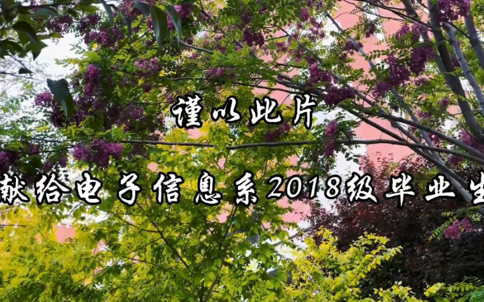 [图]毕业视频｜大学生四年回忆录《不说再见》