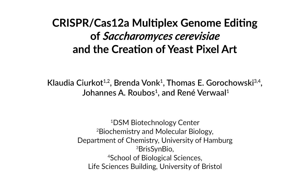 酿酒酵母的 CRISPR / Cas12a多重基因组编辑和酵母像素艺术创造哔哩哔哩bilibili