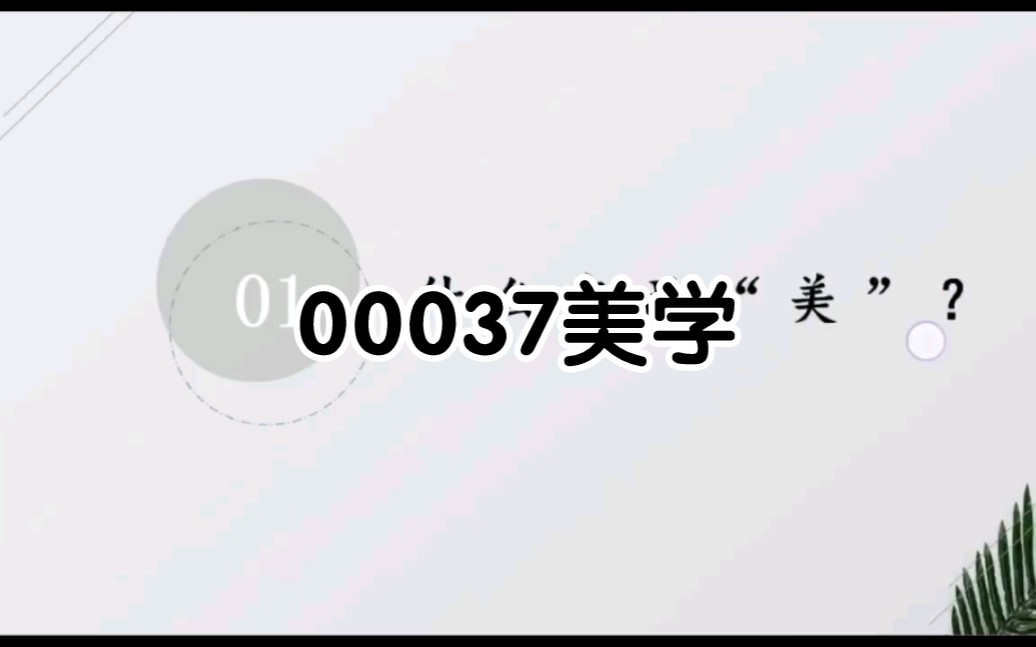 2022年最新版 00037美学精讲(一)哔哩哔哩bilibili