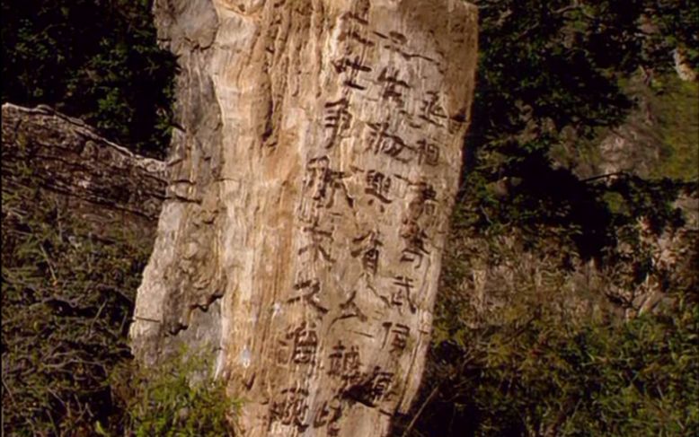 邓艾偷渡阴平——二士争衡不久自死