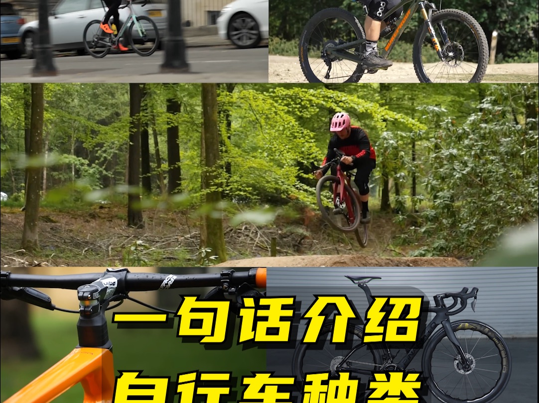 一句话介绍自行车种类以及它们的特征哔哩哔哩bilibili