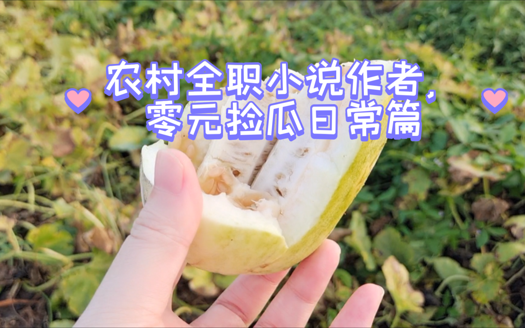 农村全职小说作者,零元捡瓜日常篇哔哩哔哩bilibili