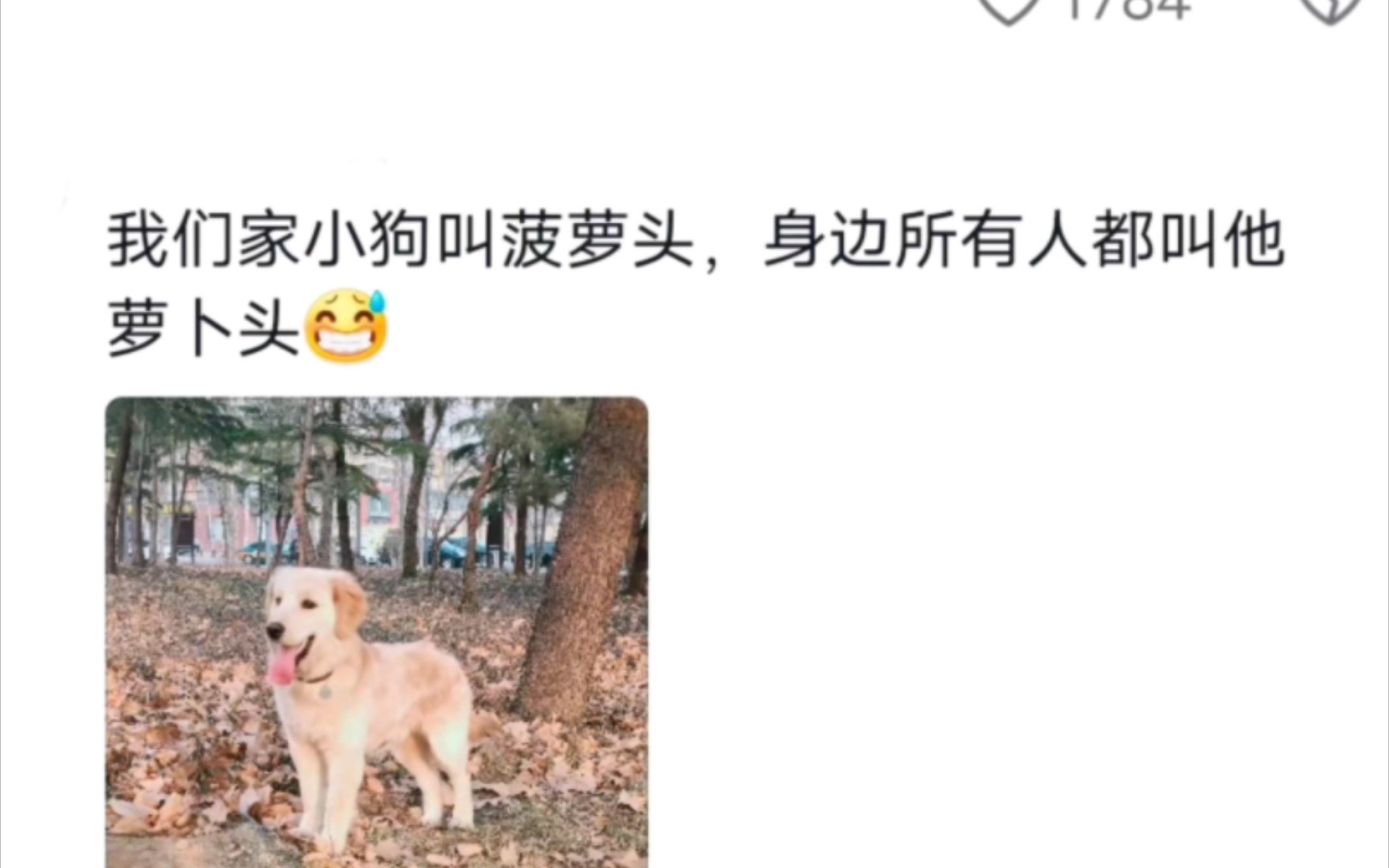 你永远不知道你的修猫修狗外面都叫什么名字哔哩哔哩bilibili