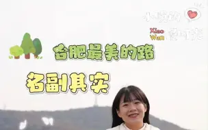 Descargar video: 合肥最美的路是哪条？