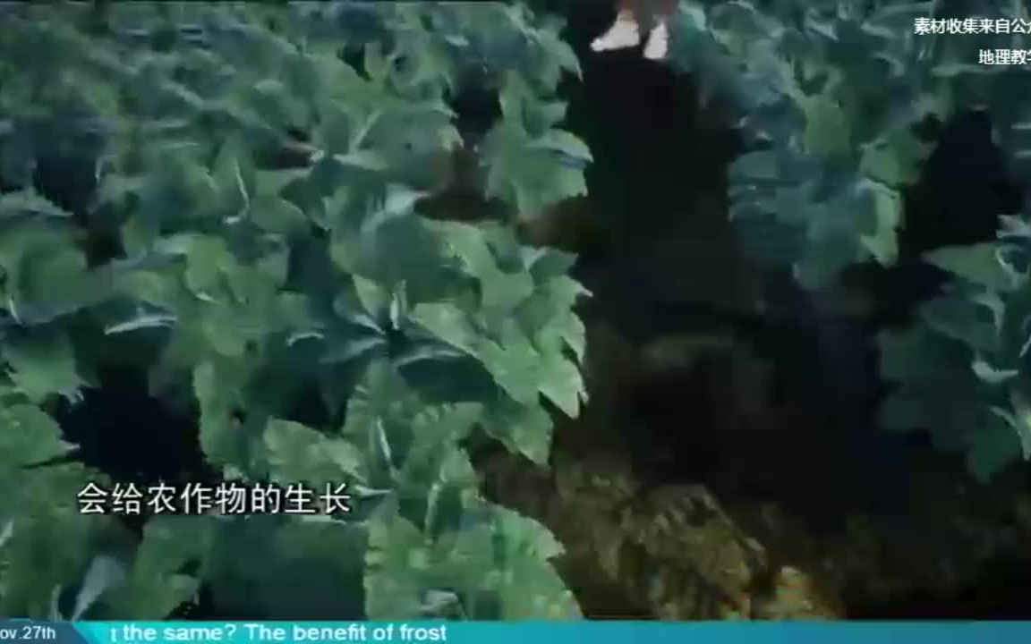 霜冻是怎么回事?哔哩哔哩bilibili