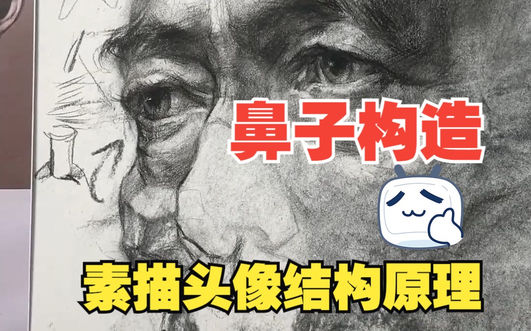 鼻子的构造你了解吗?素描头像结构原理来啦!哔哩哔哩bilibili