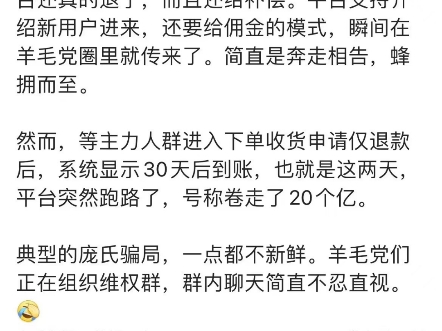 庞式骗局永不过时,京淘淘仅退款平台卷20亿跑路哔哩哔哩bilibili