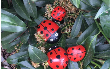 nr.107[丙烯石头画]瓢虫一家人