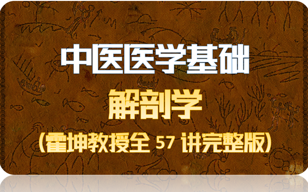 [图]【中医学基础】针灸推拿专业必修-解剖学-板书太牛了！（霍坤教授全57讲完整版）