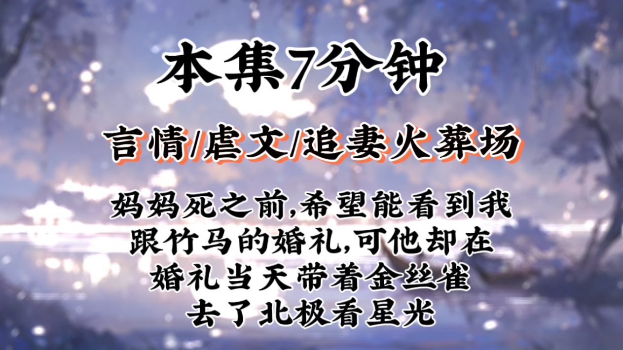 【虐文追妻火葬场】妈妈死之前,希望能看到我跟竹马的婚礼,可他却在婚礼当天带着金丝雀去了北极看星光哔哩哔哩bilibili