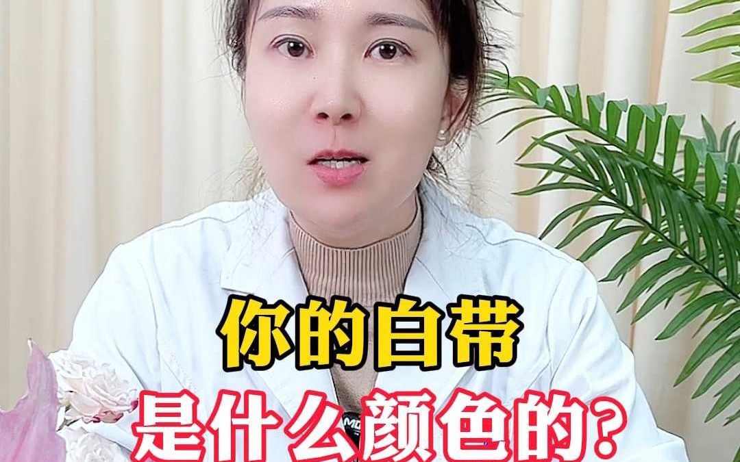 你的白带 是什么颜色的?哔哩哔哩bilibili