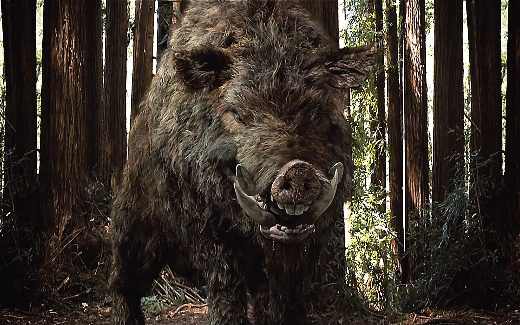 《食人猪》女孩被几千斤的野猪残害全力缉拿_哔哩哔哩_bilibili