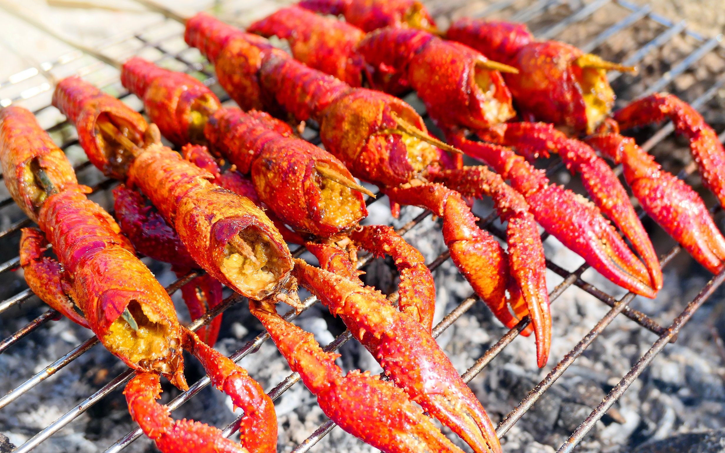 【探野vlog】烤小龙虾真的很香口,吸一口虾黄来一口虾肉,真的太爽了