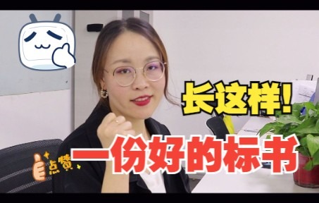 一份好的标书长什么样呢?答案是……哔哩哔哩bilibili