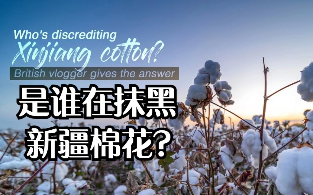哪些组织在抹黑新疆棉花英国博主有话说