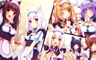 にゃっ太 搜索结果 哔哩哔哩 Bilibili